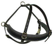 Full Chest Latigo Roading Harness for Bullmastiff