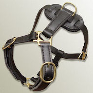 Genuine Leather Dog Harness for Bullmastiff