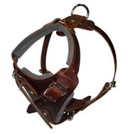 Hands Free Control Dog Harness for BullMastiff