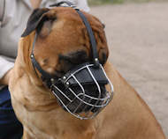 High quality dog muzzle for Bullmastiff-wire muzzle