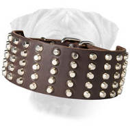 Studded Leather Bullmastiff Collar Studded Leather Bullmastiff Collar