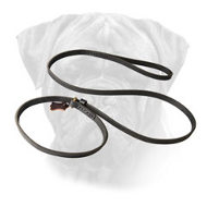 Fast Handling leash choke collar combo for Bullmastiff Fast Handling leash choke collar combo for Bullmastiff