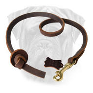 Stylish Pocket Leather Bullmastiff Training Leash Stylish Pocket Leather Bullmastiff Training Leash