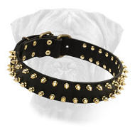 "Unveiled Luxury" Leather Bullmastiff Collar for Walking "Unveiled Luxury" Leather Bullmastiff Collar for Walking
