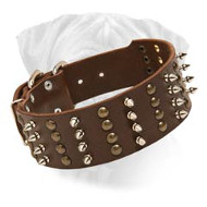 Bullmastiff Spiked & Studded Leather Dog Collar Bullmastiff Spiked & Studded Leather Dog Collar