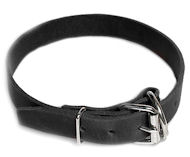 Leather Field Collar for Bullmastiff