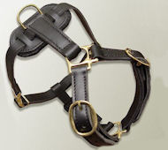 Leather No Choke Dog Harness for Bullmastiff
