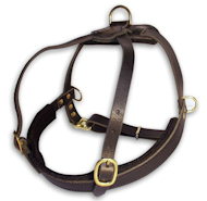 Select Leather Roading Dog Harness for Bullmastiff