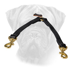 Easy Walking of 2 Bullmastiffs with Leather Coupler Easy Walking of 2 Bullmastiffs with Leather Coupler