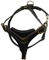 Tracking Leather Dog Harness for Bullmastiffs - Black Harness H3