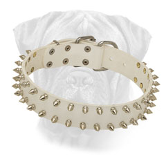 Leather Bullmastiff Collar White Rose Leather Bullmastiff Collar White Rose