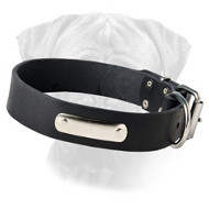 Leather Bulmastiff Collar with Nickel Plated Name Plate Leather Bulmastiff Collar with Nickel Plated Name Plate
