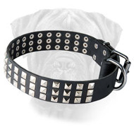 Outstanding Leather Collar with Nickel Pyramids for Bullmastiff