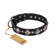 'Silver Charm' FDT Artisan Leather Dog Colla with Studs and Plates for Bullmastiff