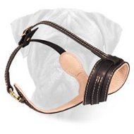 Anti-Barking Leather Bullmastiff Muzzle