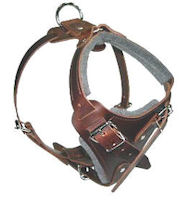 Medium Leather dog Harness for Bullmastif