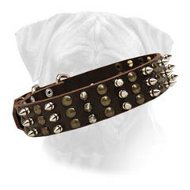 Bullmastiff Studded and Spiked Leather Dog Collar