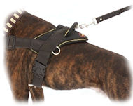 Pull Dog Harness-Stop Your BullMastiff Pulling