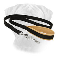 Nylon Bullmastiff Leash for Daily Activities Nylon Bullmastiff Leash for Daily Activities