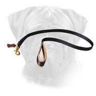 No Rubbing Nylon Bullmastiff Leash with Soft Handle No Rubbing Nylon Bullmastiff Leash with Soft Handle