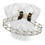 Chrome Plated Bullmastiff Collar with Quick Release Buckle Chrome Plated Bullmastiff Collar with Quick Release Buckle