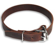 Premium 1 inch Wide Latigo Collar for Bullmastiff