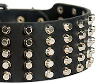 Pyramid Studs on Leather Dog Collar for Bullmastiff