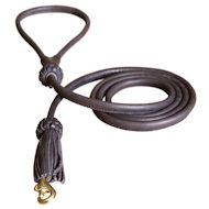 1/2 inch Leather Round Dog Leash for Bullmastiff