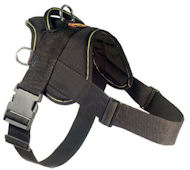 Looking for EzyDog Harness for Bullmastiff