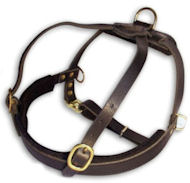 Similar Coastal Pet Dog Sled Harness for BullMastiff