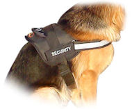 Similar to Premier Walk Reflective Dog Harness for Bullmastiff