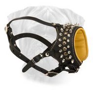 Royal Anti-Barking Spiked Leather Bullmastiff Muzzle for Walking