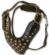 Two-Ply Latigo Dog Harness with Studs for BullMastiff