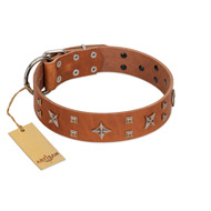 "Dreamy Gleam" FDT Artisan Tan Leather Bullmastiff Collar Adorned with Stars and Squares