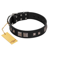 "Foregone Riches" FDT Artisan Black Leather Bullmastiff Collar with Old Silver-like Square Studs and Pyramids