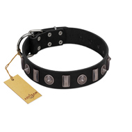"Silver Spikes" Exclusive FDT Artisan Black Leather Bullmastiff Collar