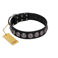 "Black Raven" Handmade FDT Artisan Black Leather Bullmastiff Collar with Silver-Like Adornments
