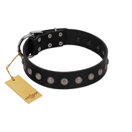 "Silver Flower" Exclusive FDT Artisan Black Leather Bullmastiff Collar with Silver-Like Studs