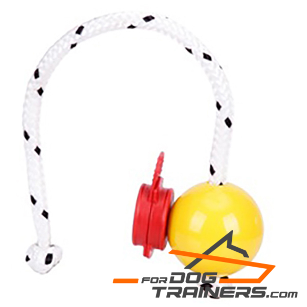 Dog Ball for Perfect Training