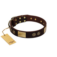 "Bow-Wow Effect" FDT Artisan Brown Leather Bullmastiff Collar with Plates and Ornate Studs