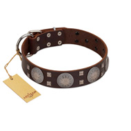 "Sun in Barchans" Modern FDT Artisan Brown Leather Bullmastiff Collar with Engraved Stars on Round Plates and Studs