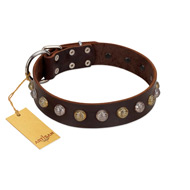 "Gape Buster" FDT Artisan Brown Leather Bullmastiff Collar with One Row of Studs