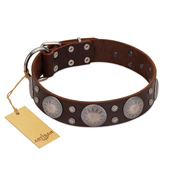 "Imperial Legate" FDT Artisan Brown Leather Bullmastiff Collar with Big Round Plates