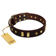 "Blinking Illusion" FDT Artisan Brown Leather Bullmastiff Collar with Old Bronze-like Studs and Plates