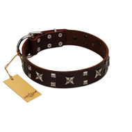 "Bigwig Woof" FDT Artisan Brown Leather Bullmastiff Collar with Chrome Plated Stars and Square Studs