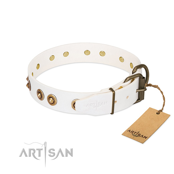 Rust-proof hardware on full grain leather dog collar for your pet