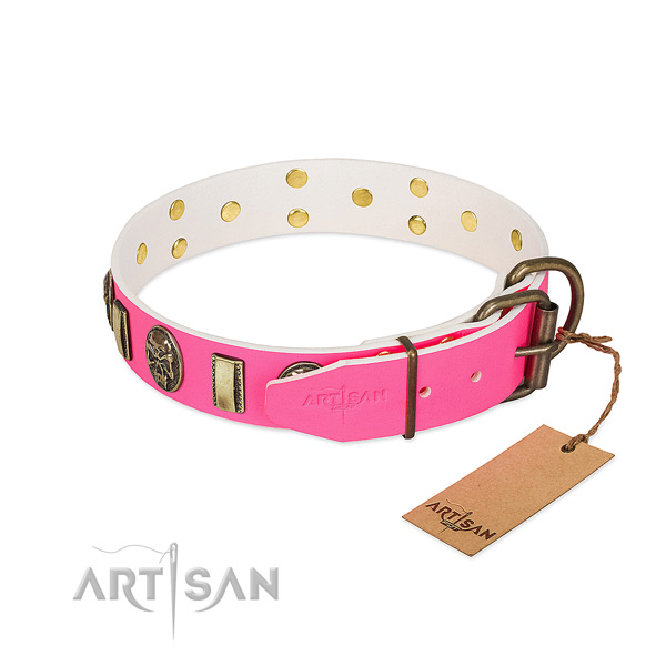 Rust resistant traditional buckle on genuine leather dog collar for your pet