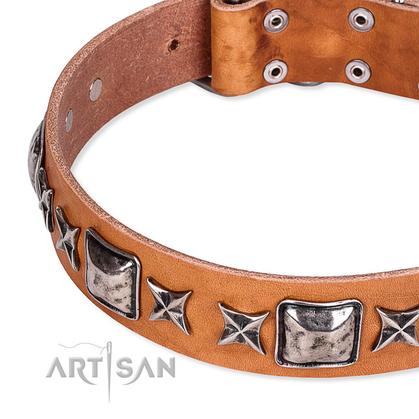 Comfy wearing embellished dog collar of best quality full grain natural leather
