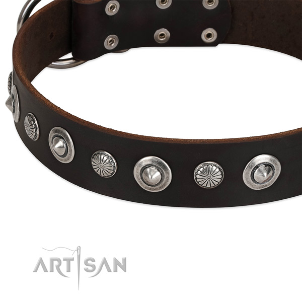 Fashionable adorned dog collar of quality full grain leather