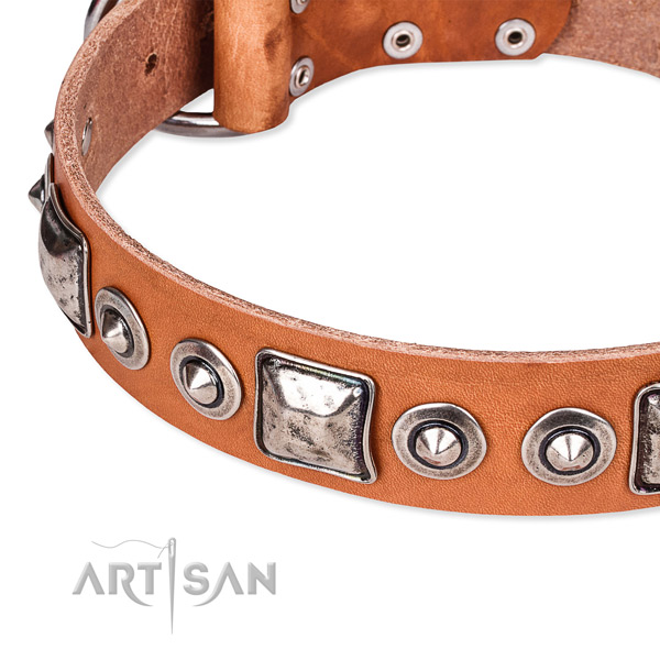 Top notch full grain natural leather dog collar made for your beautiful dog